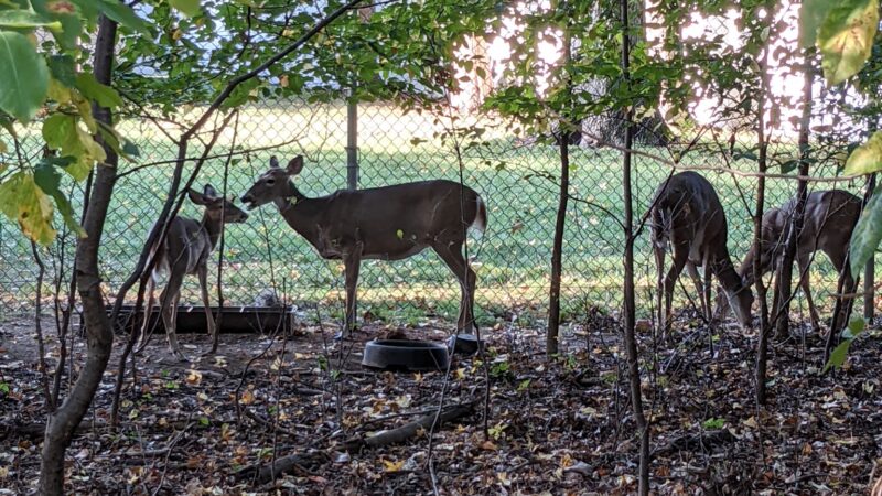 Artesian Fields County Park - Elmwood Park, NJ