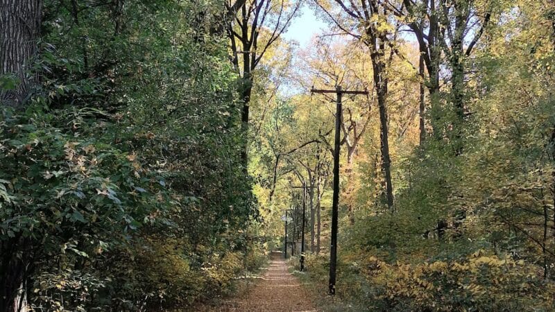Artesian Fields County Park - Elmwood Park, NJ