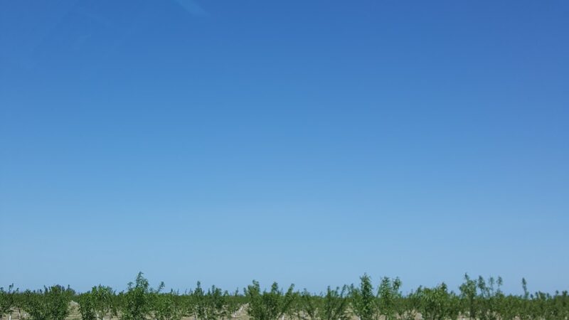 Shadowood Park - Escalon, CA
