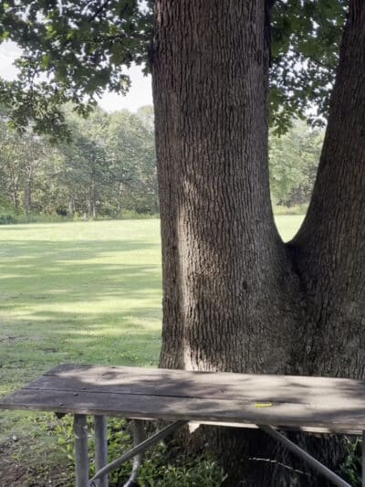 Bethpage State Park - Farmingdale, NY