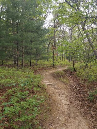 Park for Bethpage Trail - Farmingdale, NY