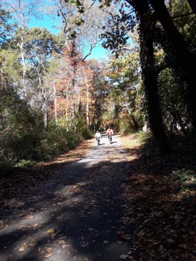 Park for Bethpage Trail - Farmingdale, NY