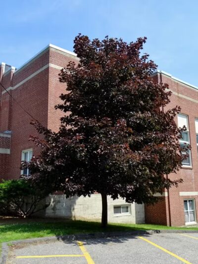 Farmington Recreation & Parks - Farmington, ME