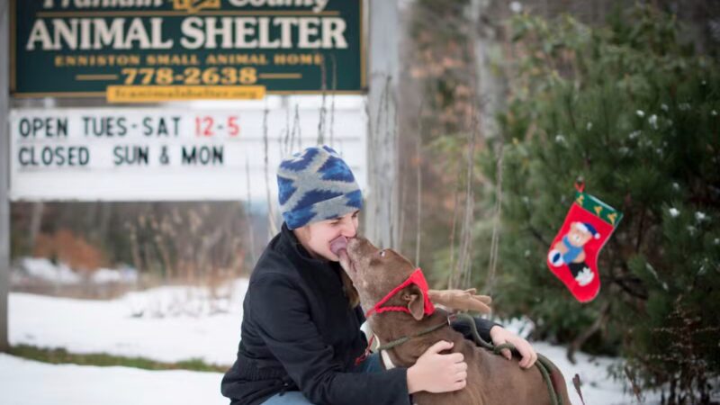 Franklin County Animal Shelter - Farmington, ME