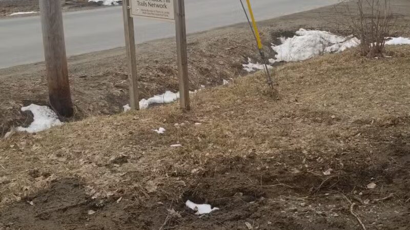 Powder House Hill Trails: Flint Woods & Village woods - Farmington, ME