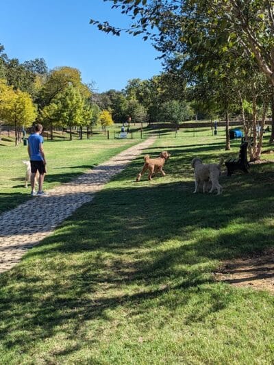 Lakeside Village Dog Park - Flower Mound, TX