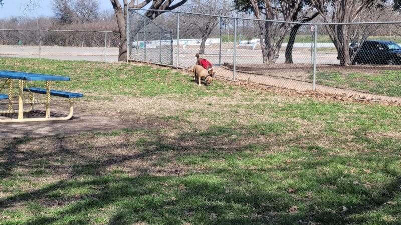 Ft. Woof Dog Park - Fort Worth, TX