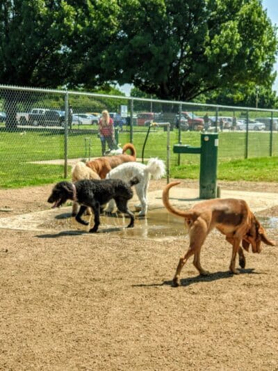 Ft. Woof Dog Park - Fort Worth, TX