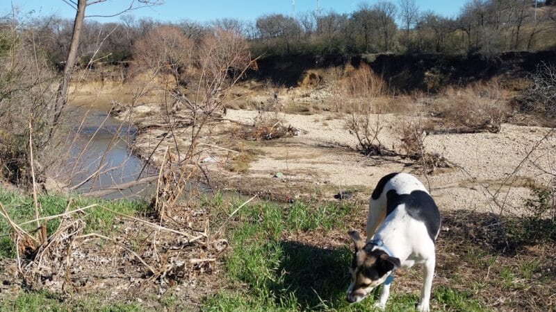 Ft. Woof Dog Park - Fort Worth, TX