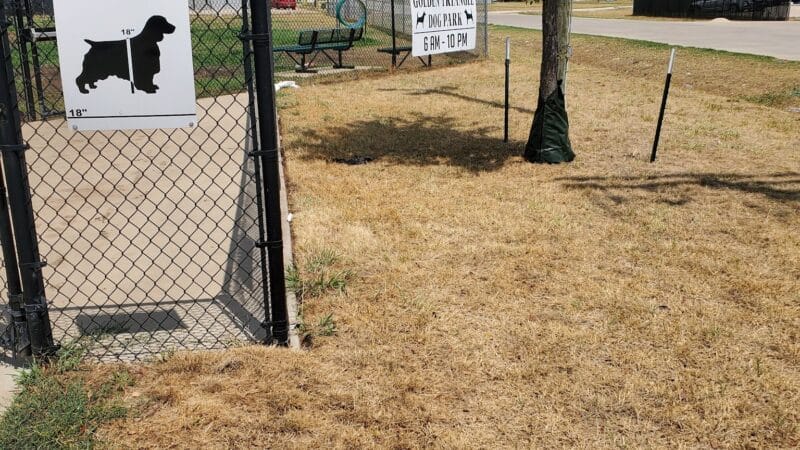 Golden Triangle Dog Park - Fort Worth, TX