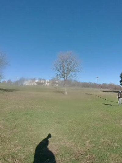 Z Bonz Dog Park - Fort Worth, TX