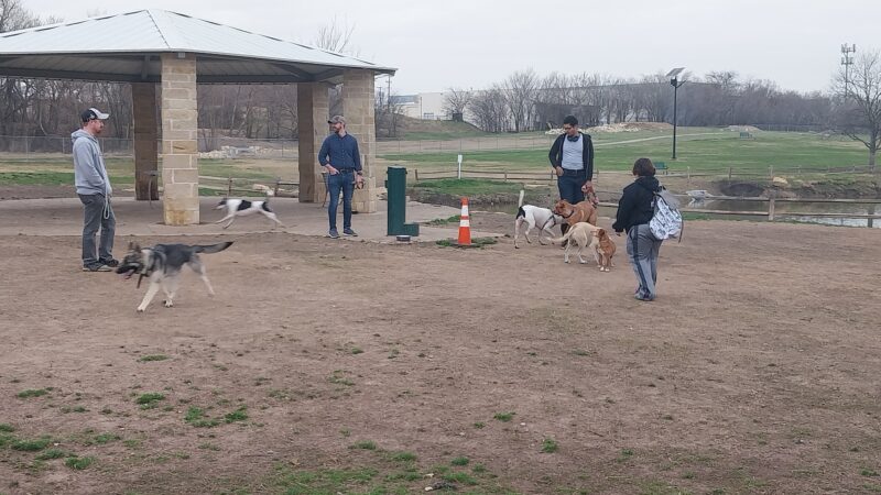 Z Bonz Dog Park - Fort Worth, TX