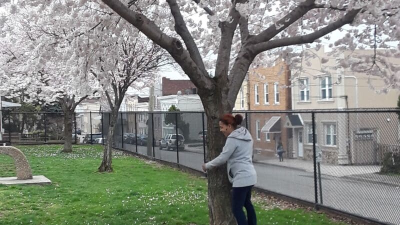 Malcom Avenue Playground - Garfield, NJ