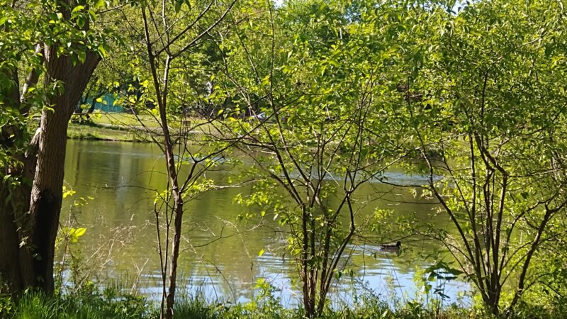 Glen Rock Duck Pond - Glen Rock, NJ