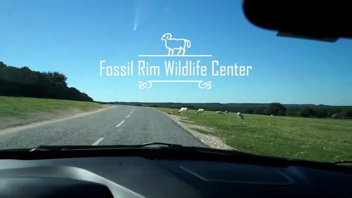 Fossil Rim Wildlife Center - Glen Rose, TX