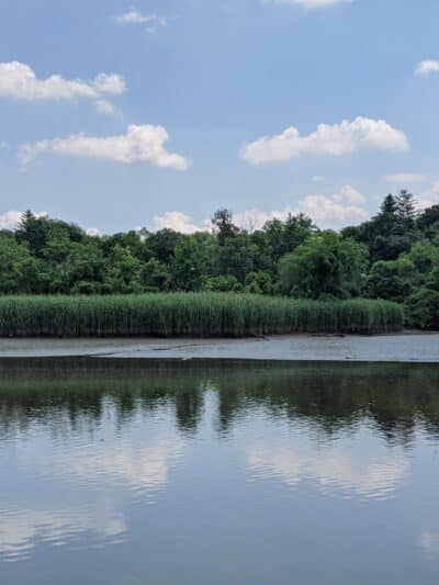 Hackensack River County Park - Hackensack, NJ