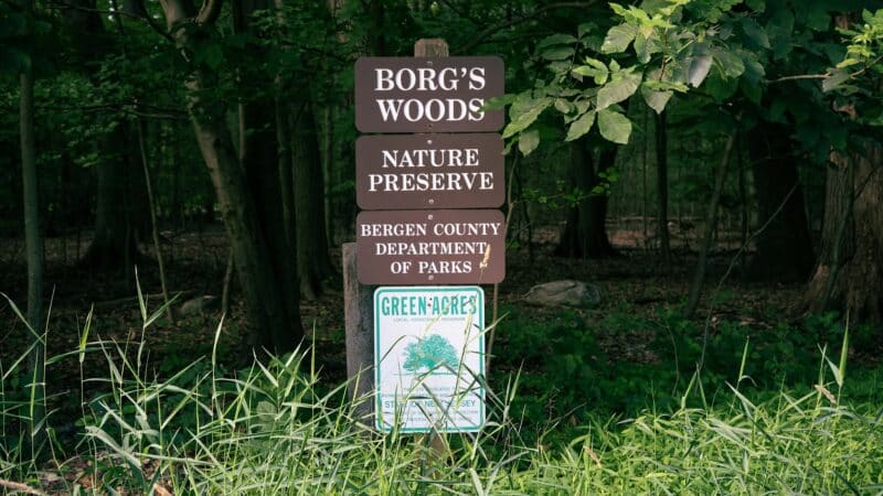 Borg's Woods Nature Preserve - Hackensack, NJ
