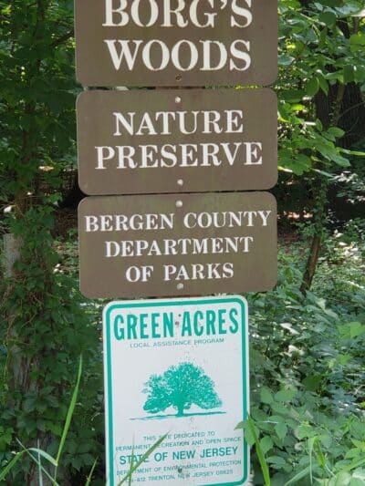 Borg's Woods Nature Preserve - Hackensack, NJ