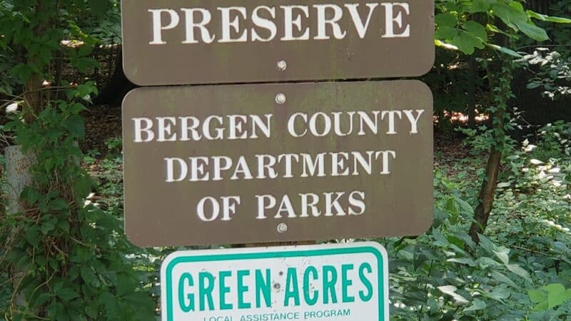 Borg's Woods Nature Preserve - Hackensack, NJ