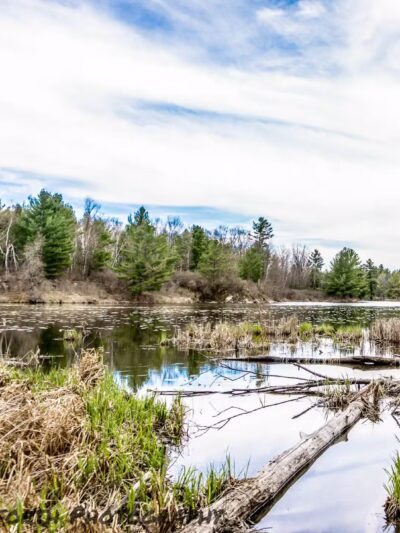 Macsherry Trail - Hammond, NY