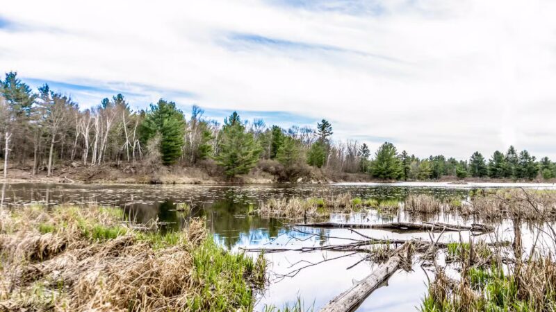 Macsherry Trail - Hammond, NY