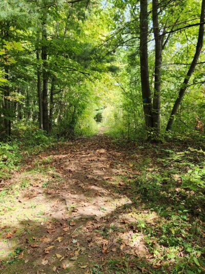 Macsherry Trail - Hammond, NY