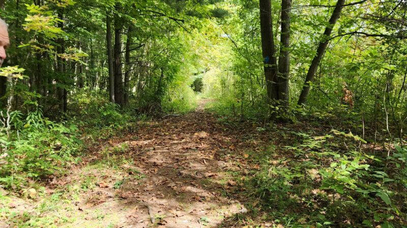 Macsherry Trail - Hammond, NY