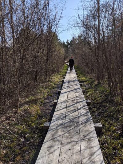 Macsherry Trail - Hammond, NY
