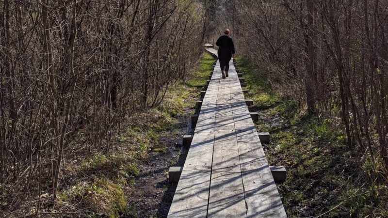 Macsherry Trail - Hammond, NY