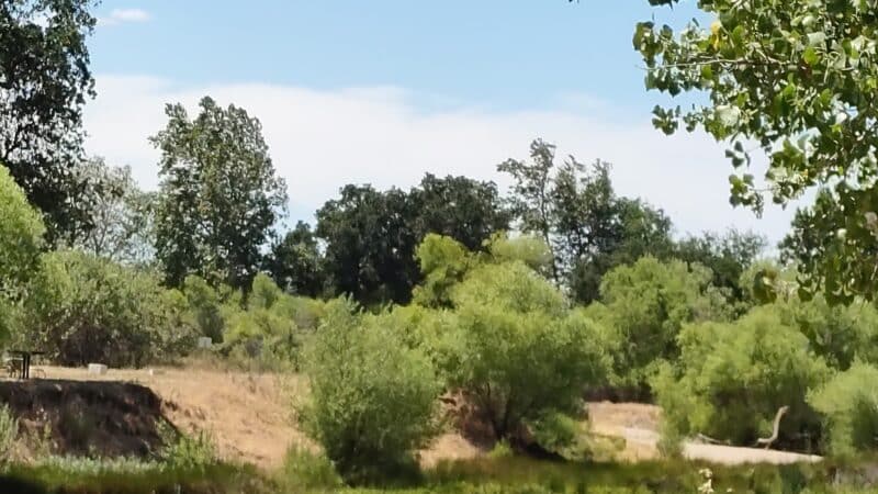 George J. Hatfield State Recreation Area - Hilmar, CA