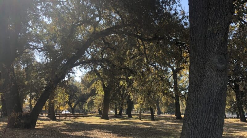 George J. Hatfield State Recreation Area - Hilmar, CA
