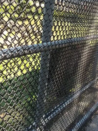 Holtsville animal park - Holtsville, NY