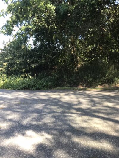 Holtsville Ecogoly Site - Holtsville, NY