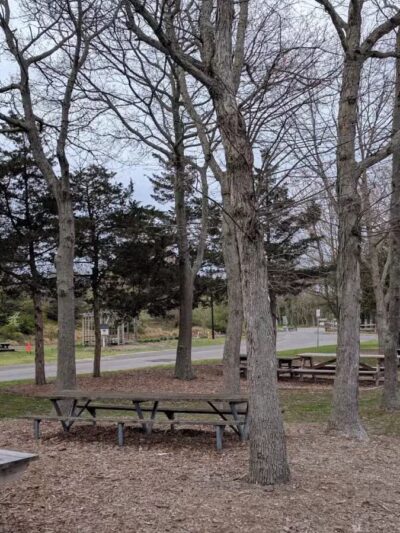 Holtsville Park - Holtsville, NY