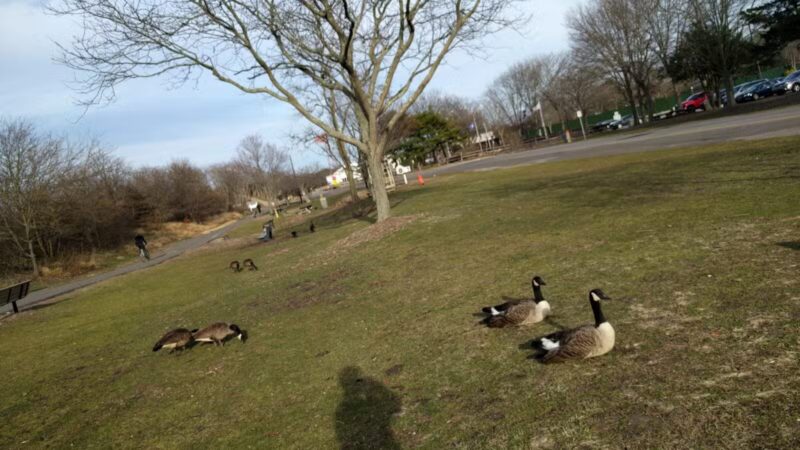 Holtsville Park - Holtsville, NY