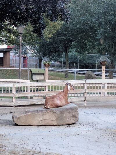 Holtsville Park - Holtsville, NY