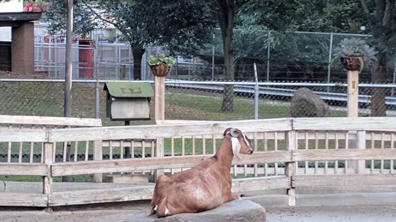 Holtsville Park - Holtsville, NY