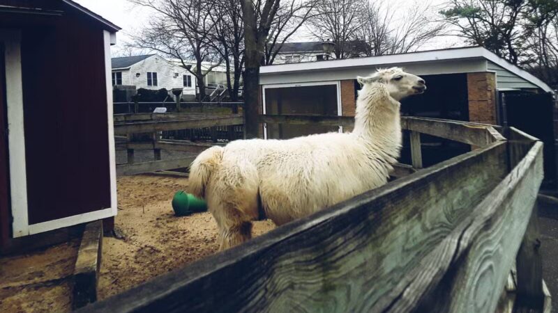 Holtsville Wildlife & Ecology Center - Holtsville, NY