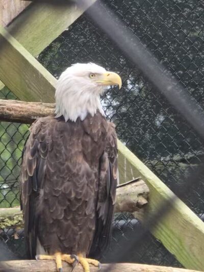 Holtsville Wildlife & Ecology Center - Holtsville, NY