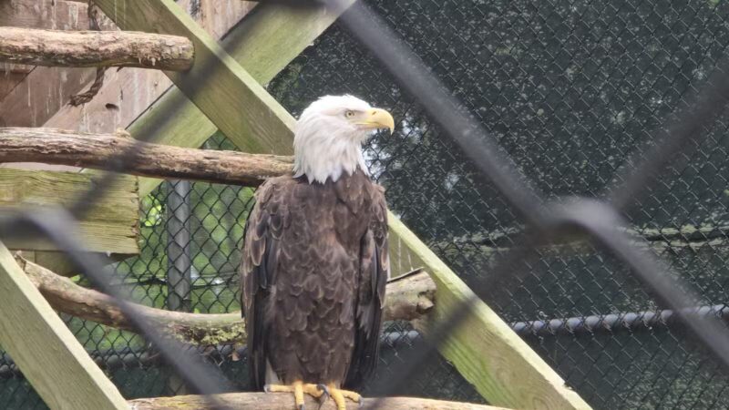 Holtsville Wildlife & Ecology Center - Holtsville, NY