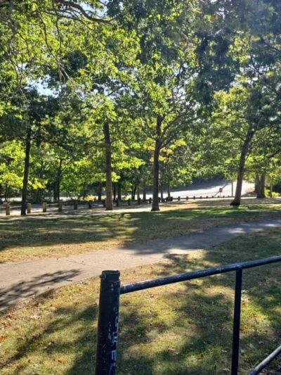 Woodedge Park - Holtsville, NY