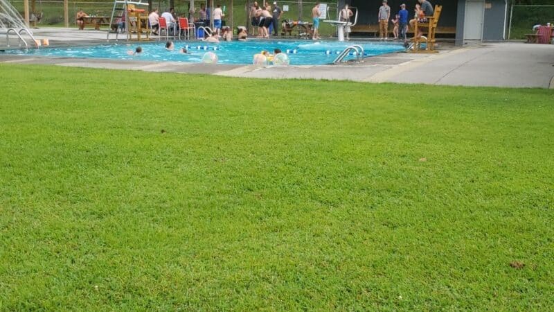Council Park & Pool - Honaker, VA