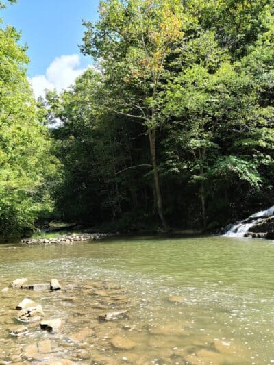 Pinnacle Natural Area Preserve - Honaker, VA