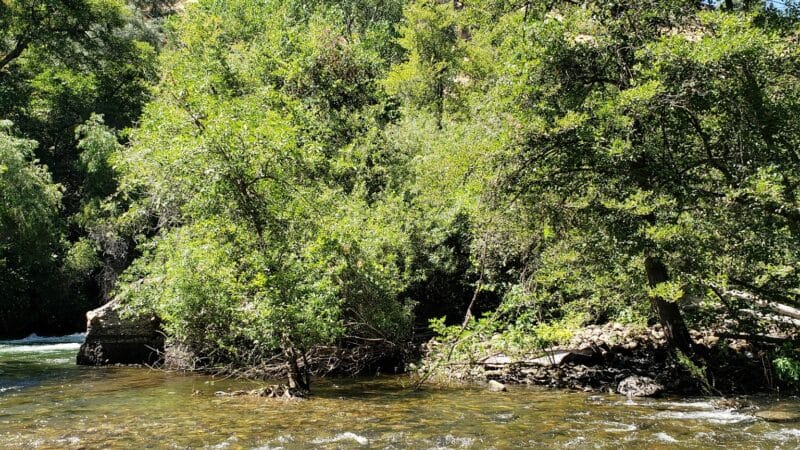 Goodwin Dam Recreation Area - Jamestown, CA