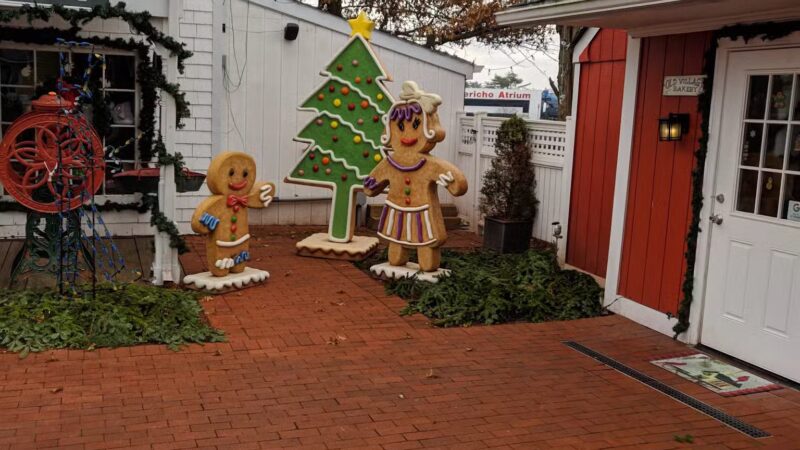 Jericho Commons - Jericho, NY