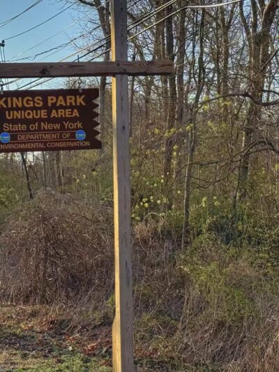 Kings Park Unique Area - Kings Park, NY
