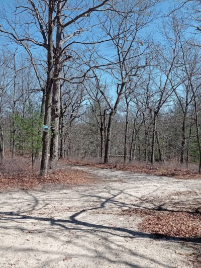 Kings Park Unique Area - Kings Park, NY
