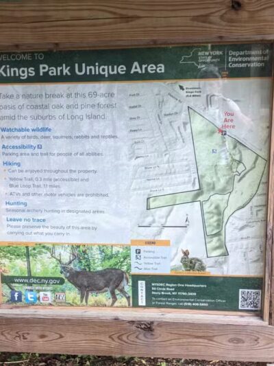 Kings Park Unique Area - Kings Park, NY