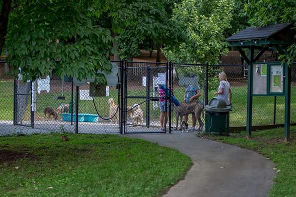 Kingsport Dog Park [MEMBERS ONLY] - Kingsport, TN
