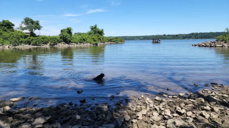 Kingston Point Dog Park - Kingston, NY